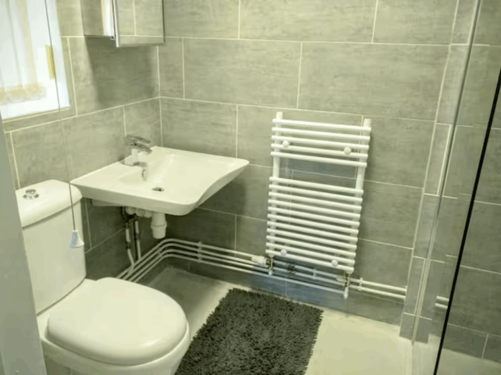 Studio space en-suite toilet in shower room